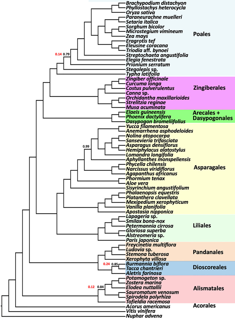 Figure 6