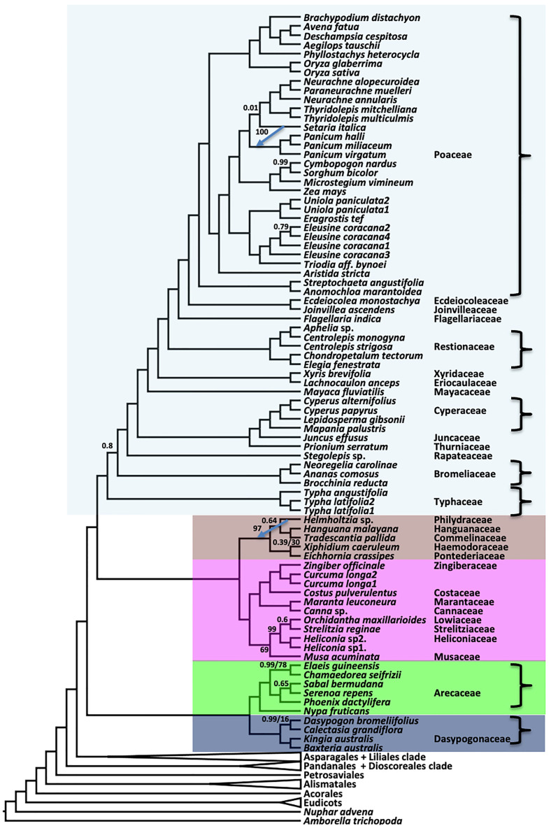 Figure 3