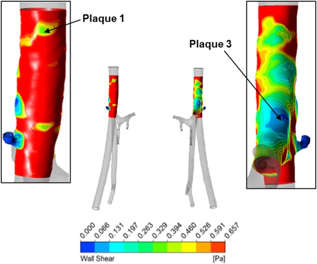 Figure 5