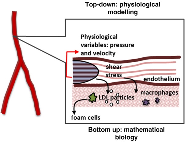 Figure 1