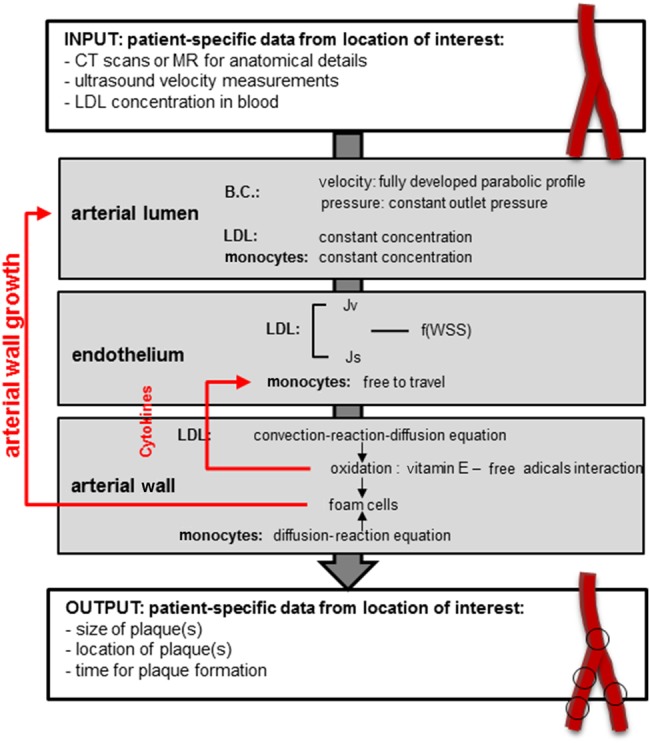 Figure 3