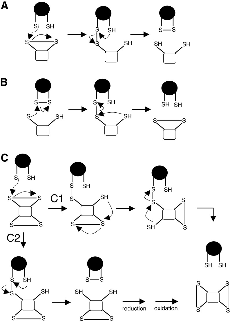 Fig. 3