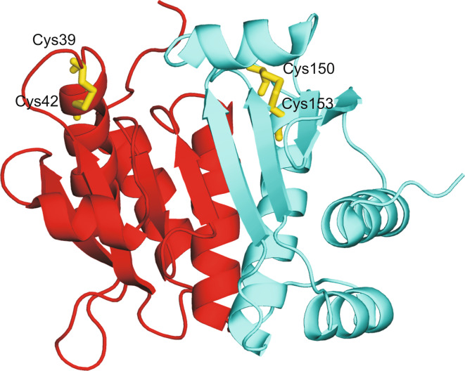 Fig. 6