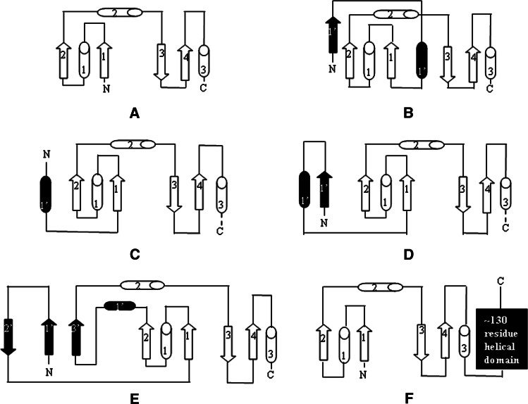 Fig. 1