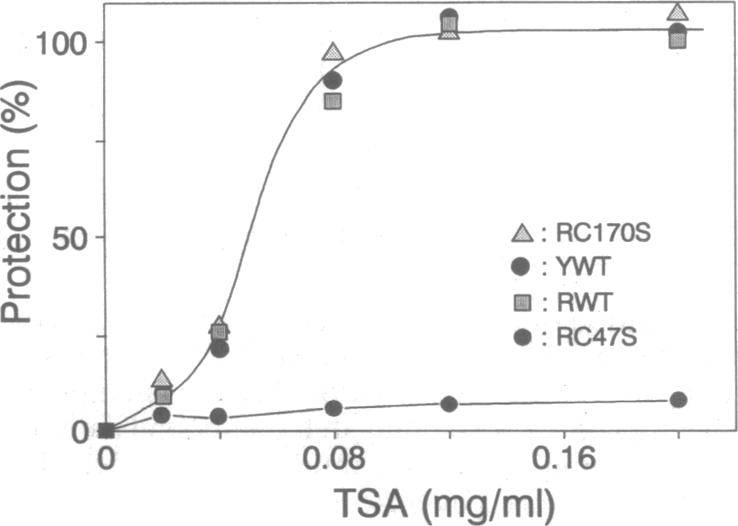 graphic file with name pnas01137-0320-c.jpg