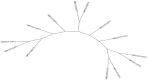 Fig. 2: