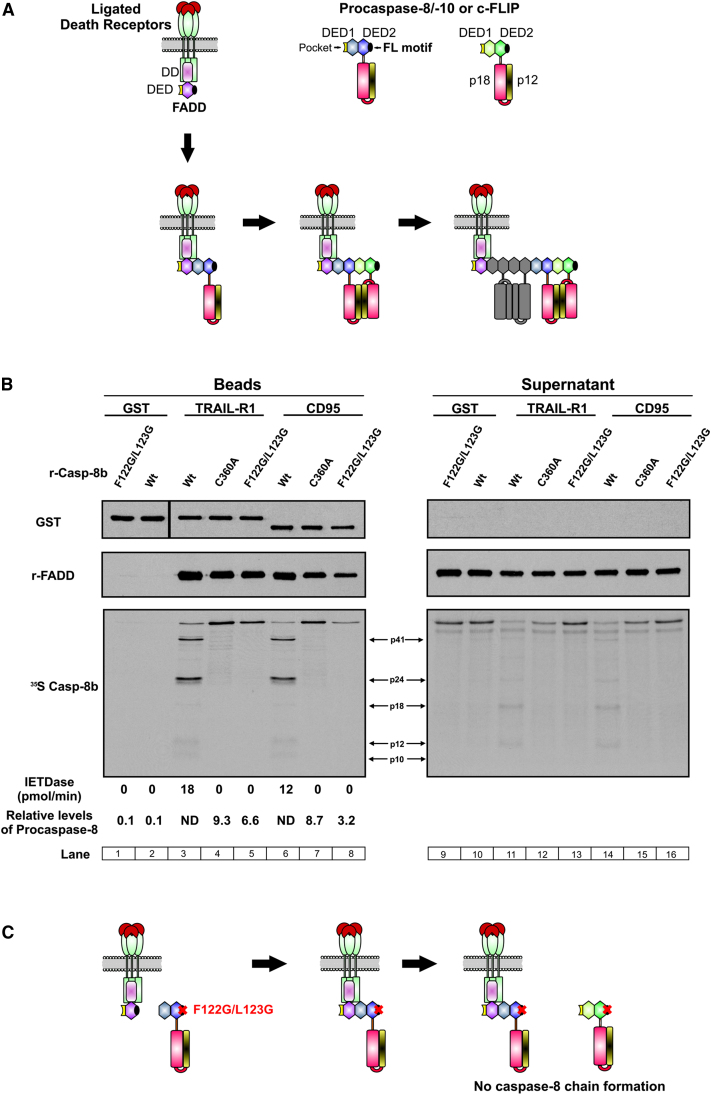 Figure 7