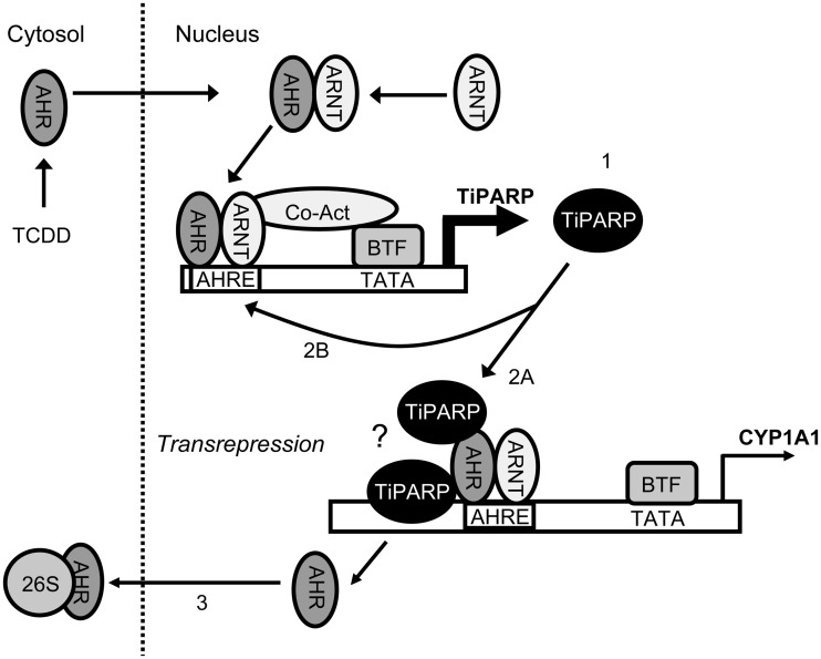 Figure 9.