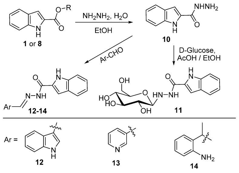 Scheme 2