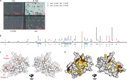 FIGURE 1.