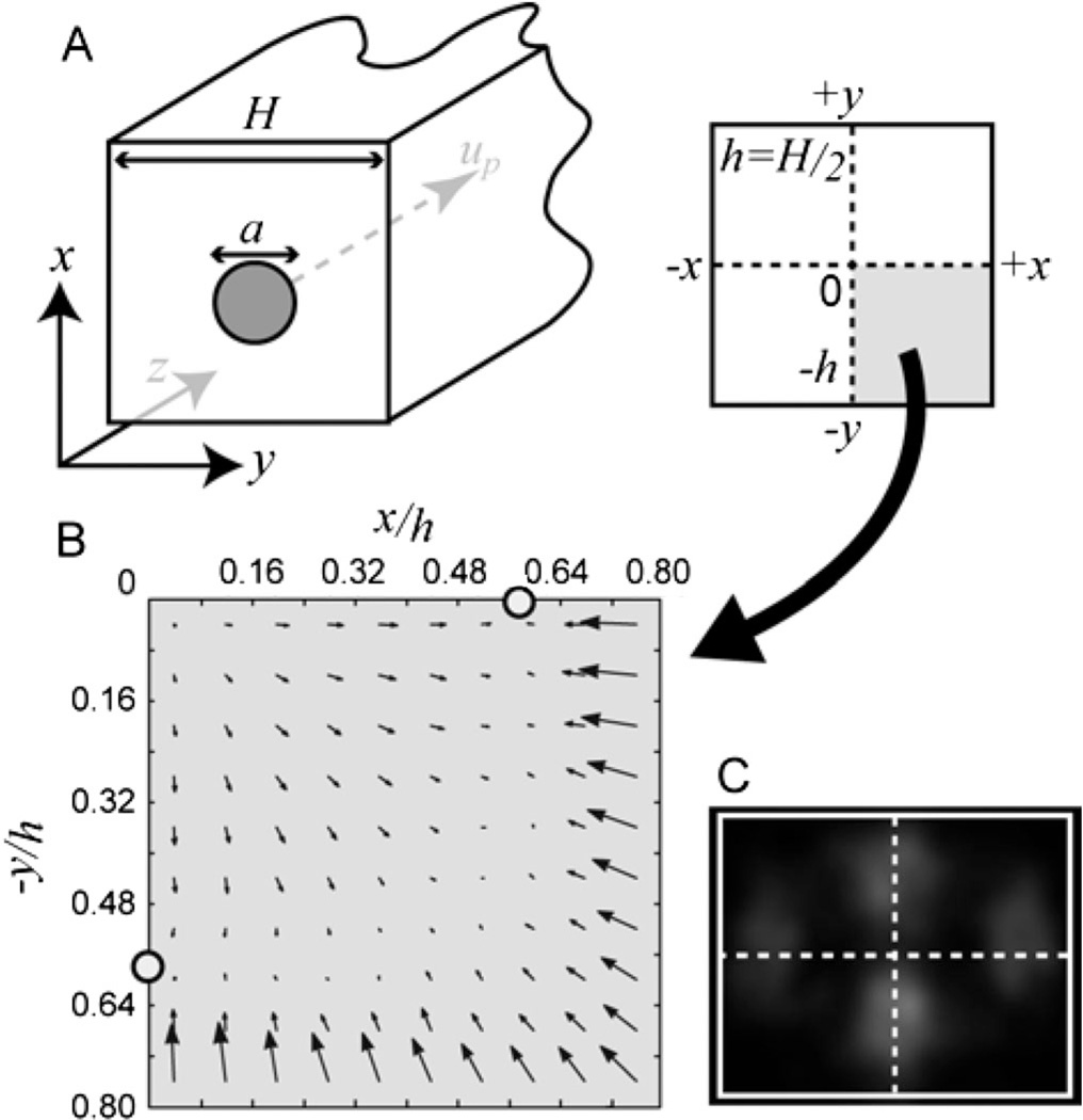 FIG. 1