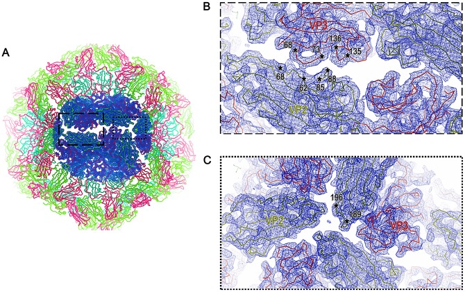 Fig 6