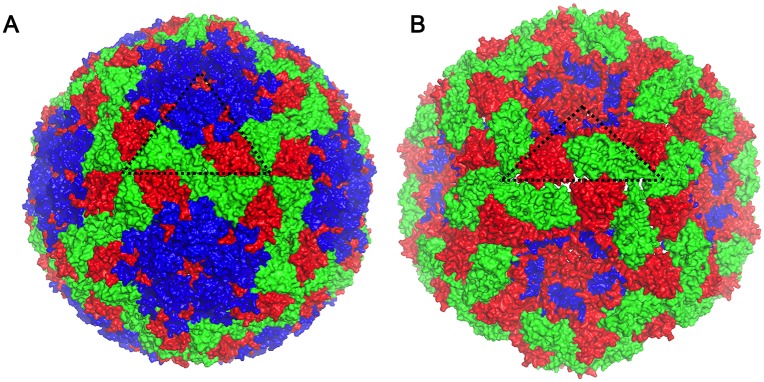 Fig 5