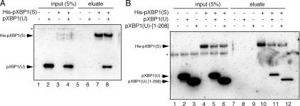 Figure 7.