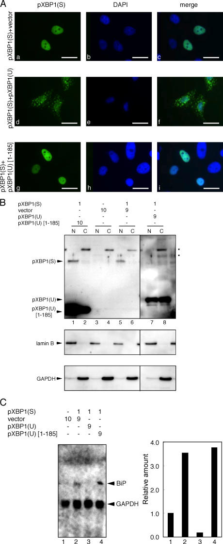 Figure 9.