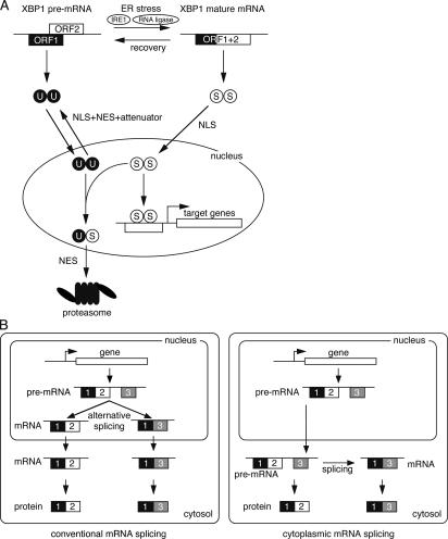 Figure 10.