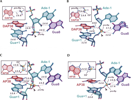 FIGURE 4.