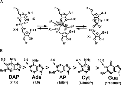 FIGURE 1.