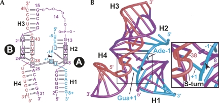 FIGURE 2.