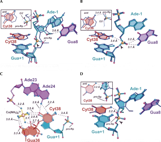 FIGURE 5.