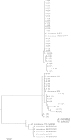 FIG 1