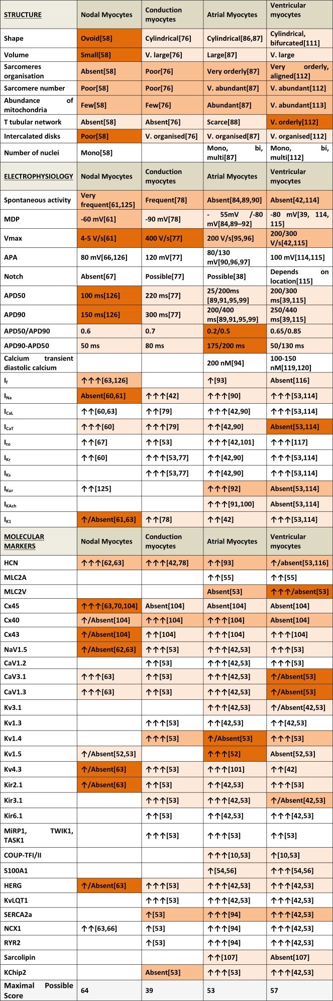 graphic file with name STEM-35-1881-g006.jpg