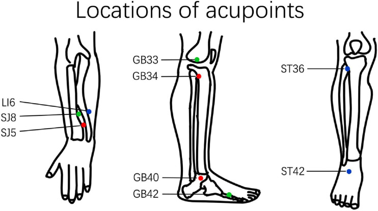 FIGURE 1