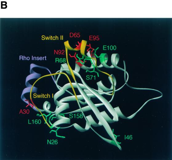 FIG. 7