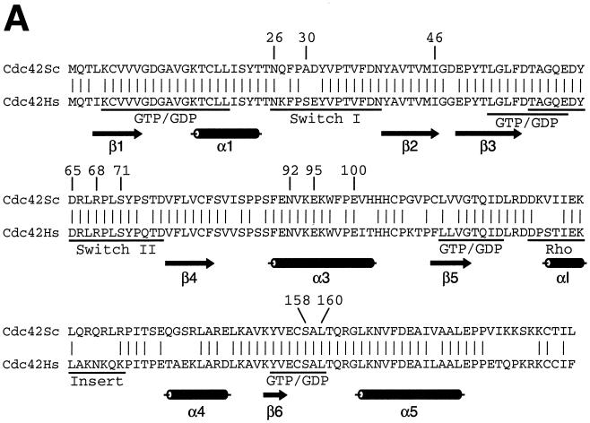 FIG. 7