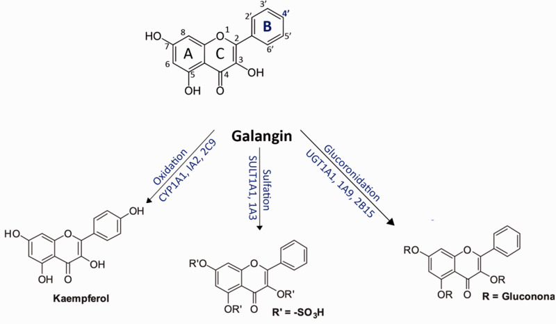 Figure 1.