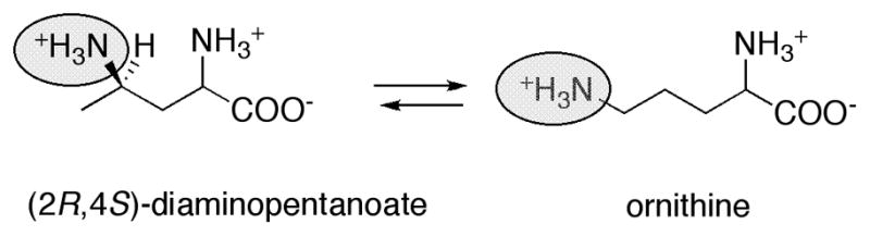 Eq. 13