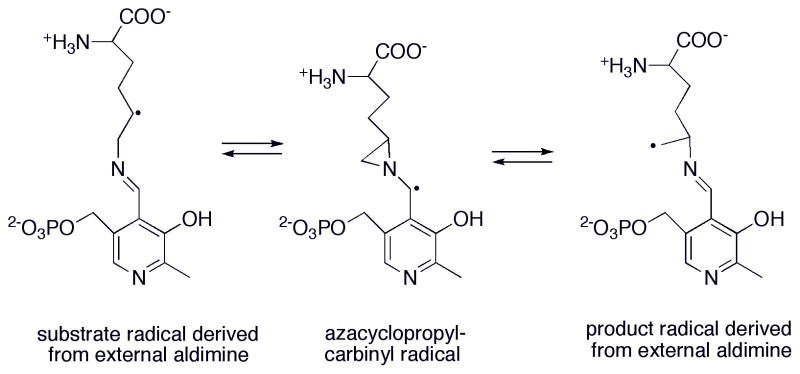 Figure 22