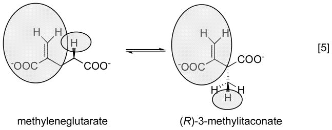 Eq. 5