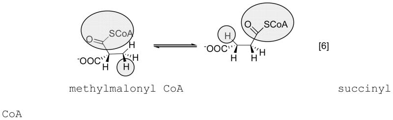 Eq. 6