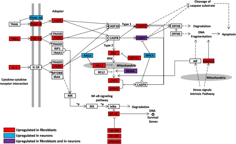 FIG 3