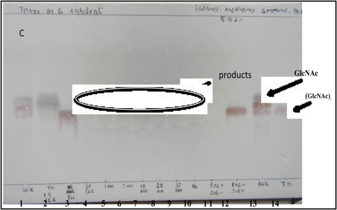 Fig. 5