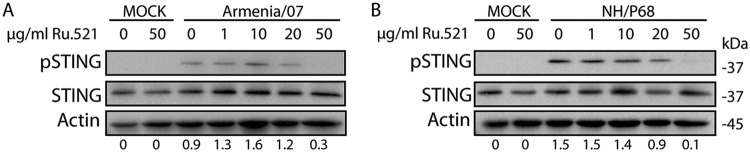 FIG 3