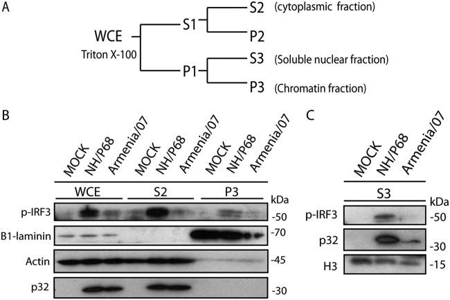 FIG 4