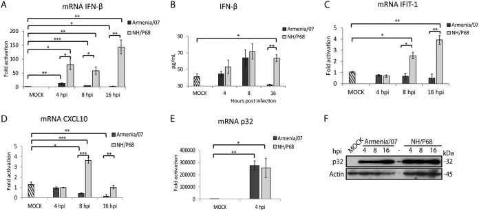 FIG 1