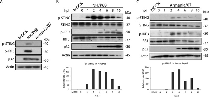 FIG 2