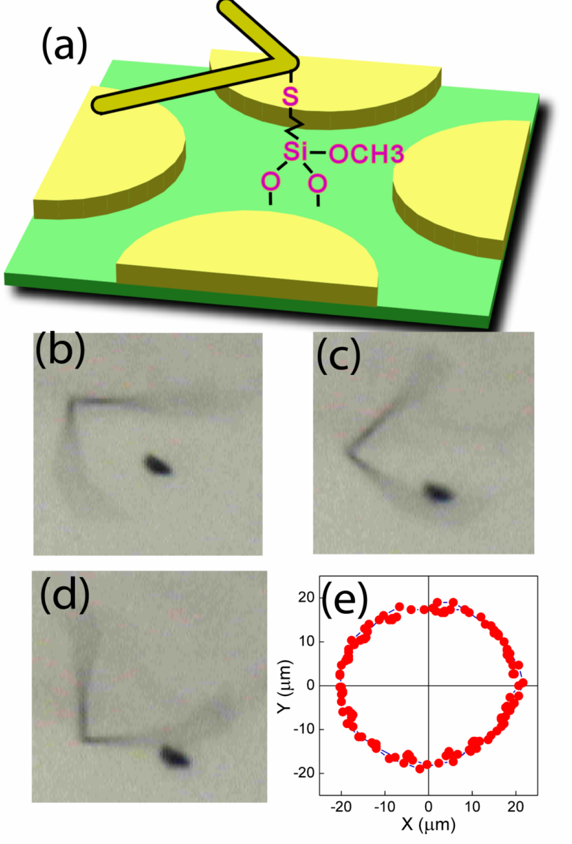 Figure 10.