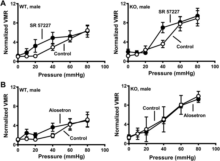 Fig. 10.