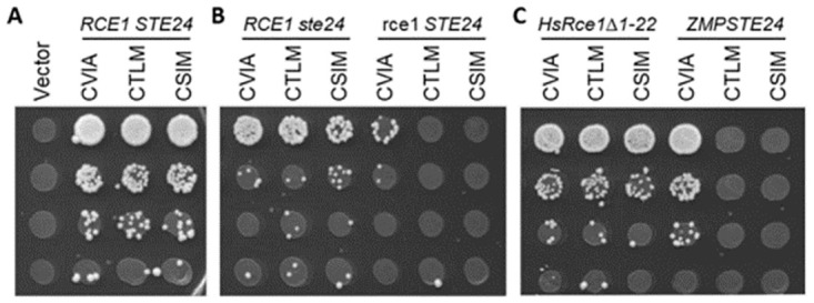 Fig 6