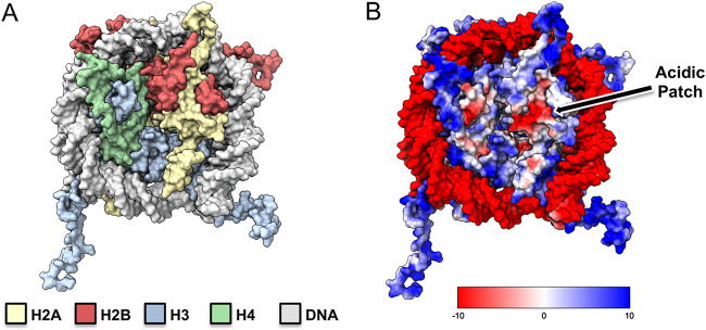 FIG 1