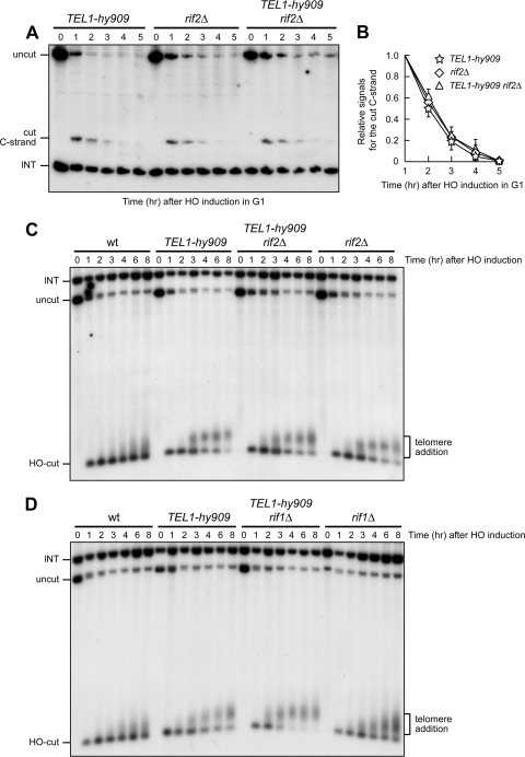 Fig 7