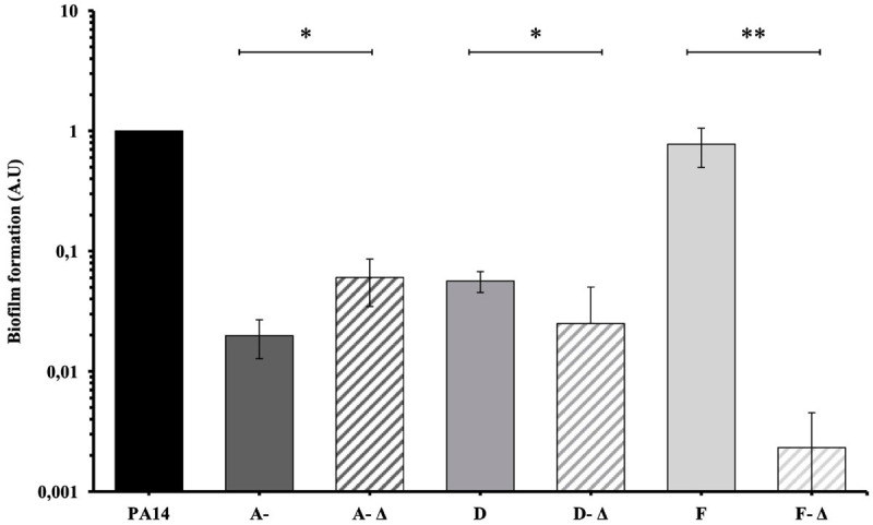 FIGURE 5