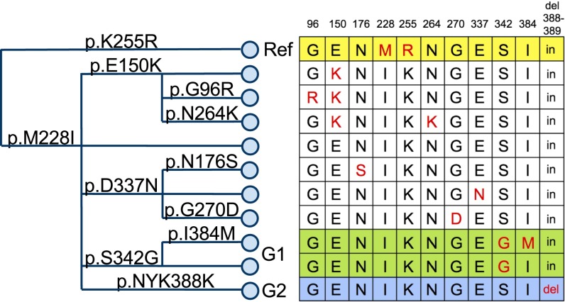 Fig. 3.