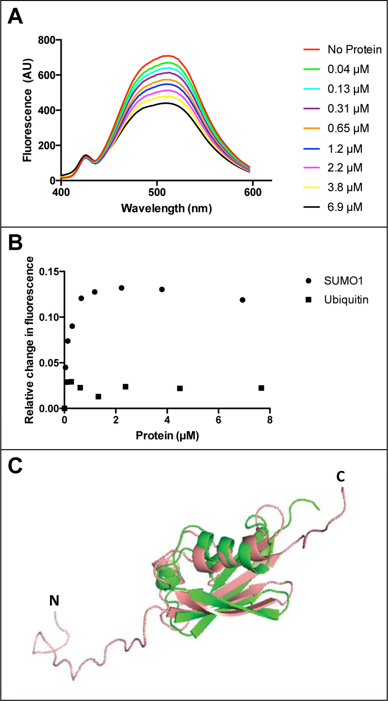 Fig 3