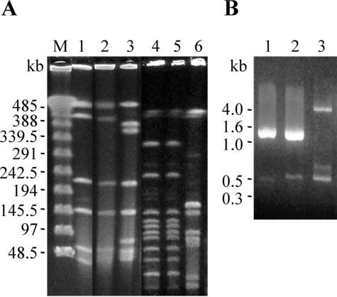 FIG. 1.