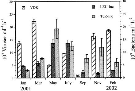 FIG. 2.